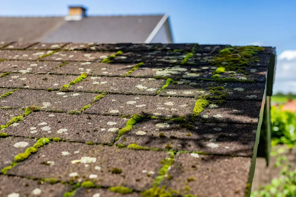 Démoussage toiture à Merlevenez