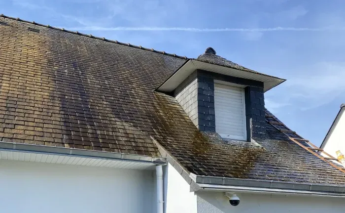 Demoussage toiture fenetre