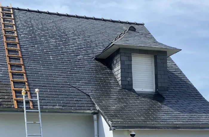 Peinture et demoussage