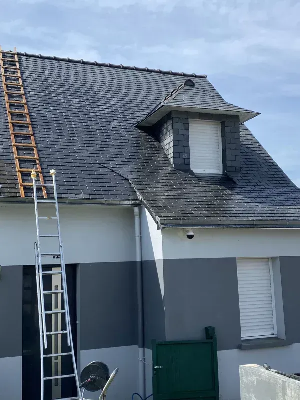 Toit nettoyage apres